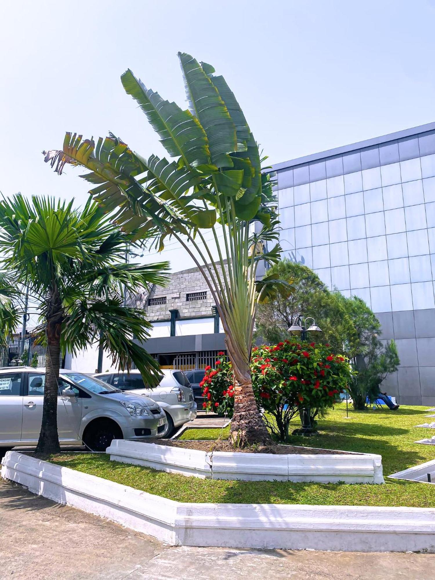 דואלה Hotel Vallee Des Princes מראה חיצוני תמונה